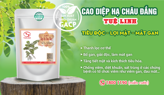 #Cao-Diep-Ha-Chau